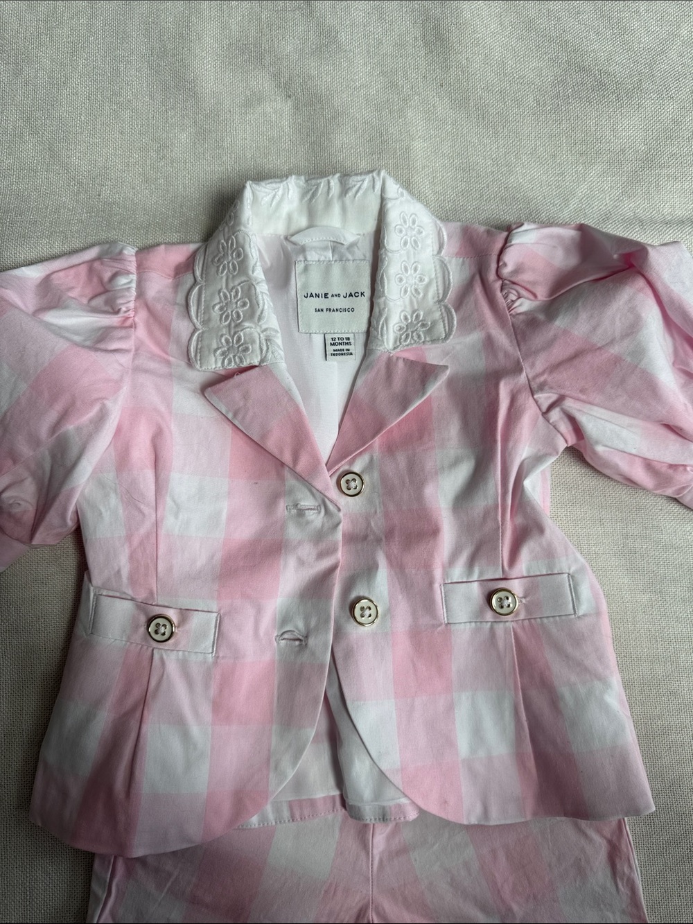 Janie and Jack Pink & White Gingham Blazer and Pants with Embroidered Collar